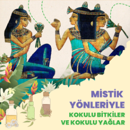 Mistik Yönleriyle Kokulu Bitkiler ve Kokulu Yağlar - Online Program