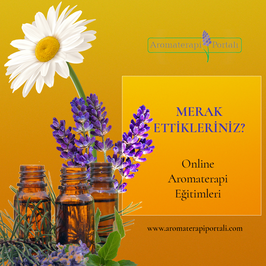 Online Aromaterapi Eğitimleri